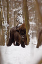 BUITEN BEELD Foto: 139618