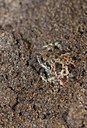 BUITEN BEELD Foto: 139742