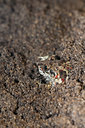 BUITEN BEELD Foto: 139743