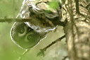 BUITEN BEELD Foto: 139755