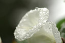 BUITEN BEELD Foto: 139908