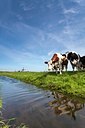 BUITEN BEELD Foto: 139922