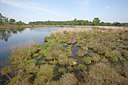 BUITEN BEELD Foto: 139996