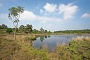 BUITEN BEELD Foto: 140026