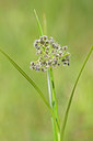 BUITEN BEELD Foto: 140103