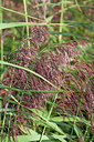 BUITEN BEELD Foto: 140105