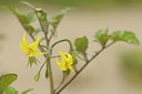 BUITEN BEELD Foto: 140211