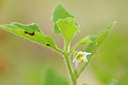 BUITEN BEELD Foto: 140213
