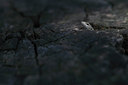 BUITEN BEELD Foto: 140242