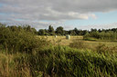BUITEN BEELD Foto: 140355