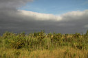 BUITEN BEELD Foto: 140356