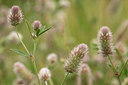 BUITEN BEELD Foto: 140388