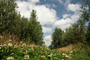 BUITEN BEELD Foto: 140390