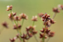 BUITEN BEELD Foto: 140402
