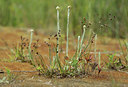 BUITEN BEELD Foto: 140404