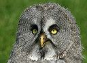 BUITEN BEELD Foto: 140454