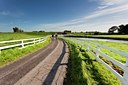 BUITEN BEELD Foto: 140525