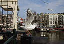 BUITEN BEELD Foto: 140586