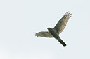 BUITEN BEELD Foto: 140602