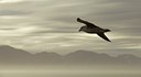 BUITEN BEELD Foto: 140708