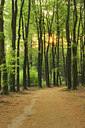 BUITEN BEELD Foto: 140769
