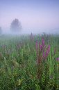 BUITEN BEELD Foto: 140780