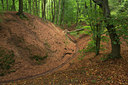BUITEN BEELD Foto: 140793