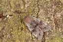 BUITEN BEELD Foto: 140864
