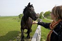 BUITEN BEELD Foto: 140939