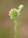 BUITEN BEELD Foto: 141049