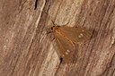 BUITEN BEELD Foto: 141055