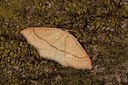 BUITEN BEELD Foto: 141080