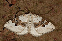 BUITEN BEELD Foto: 141106