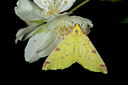 BUITEN BEELD Foto: 141109
