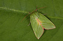 BUITEN BEELD Foto: 141111