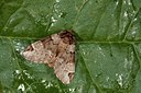 BUITEN BEELD Foto: 141127