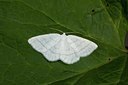 BUITEN BEELD Foto: 141175