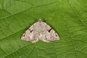 BUITEN BEELD Foto: 141230