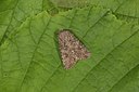 BUITEN BEELD Foto: 141231
