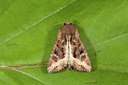 BUITEN BEELD Foto: 141250