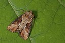 BUITEN BEELD Foto: 141264