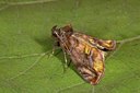 BUITEN BEELD Foto: 141279