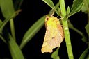 BUITEN BEELD Foto: 141281
