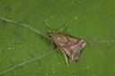 BUITEN BEELD Foto: 141287