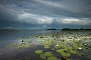 BUITEN BEELD Foto: 141374