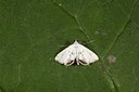 BUITEN BEELD Foto: 141427