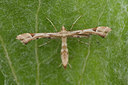 BUITEN BEELD Foto: 141438