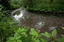 BUITEN BEELD Foto: 141447