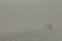 BUITEN BEELD Foto: 141451