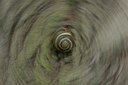 BUITEN BEELD Foto: 141455